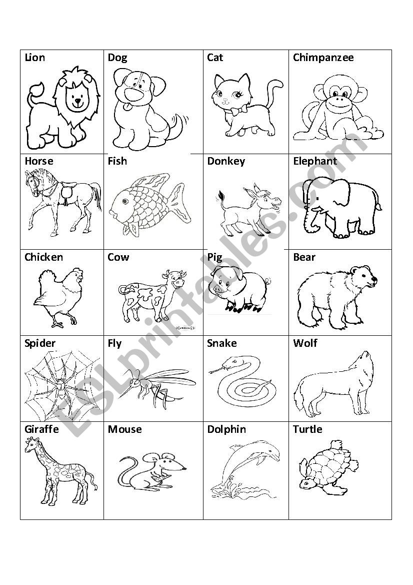 Animals in English coloring worksheet