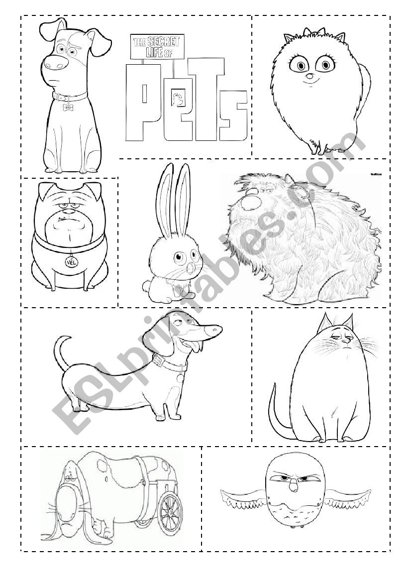 the secret life of pets worksheet