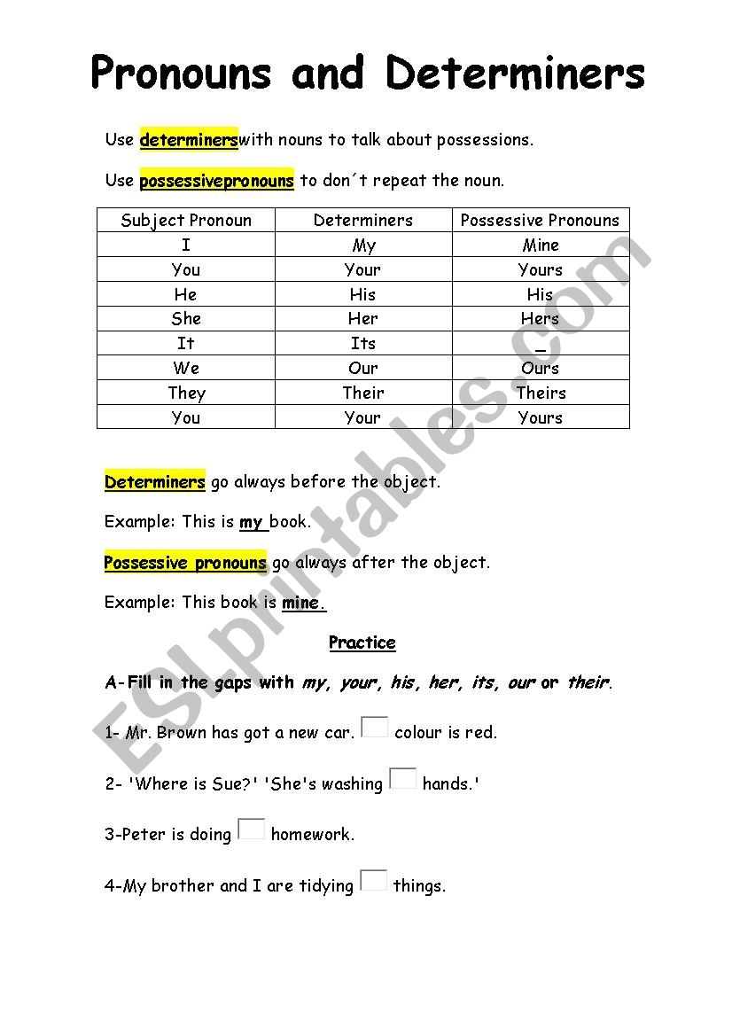 determiners and possessive pronouns