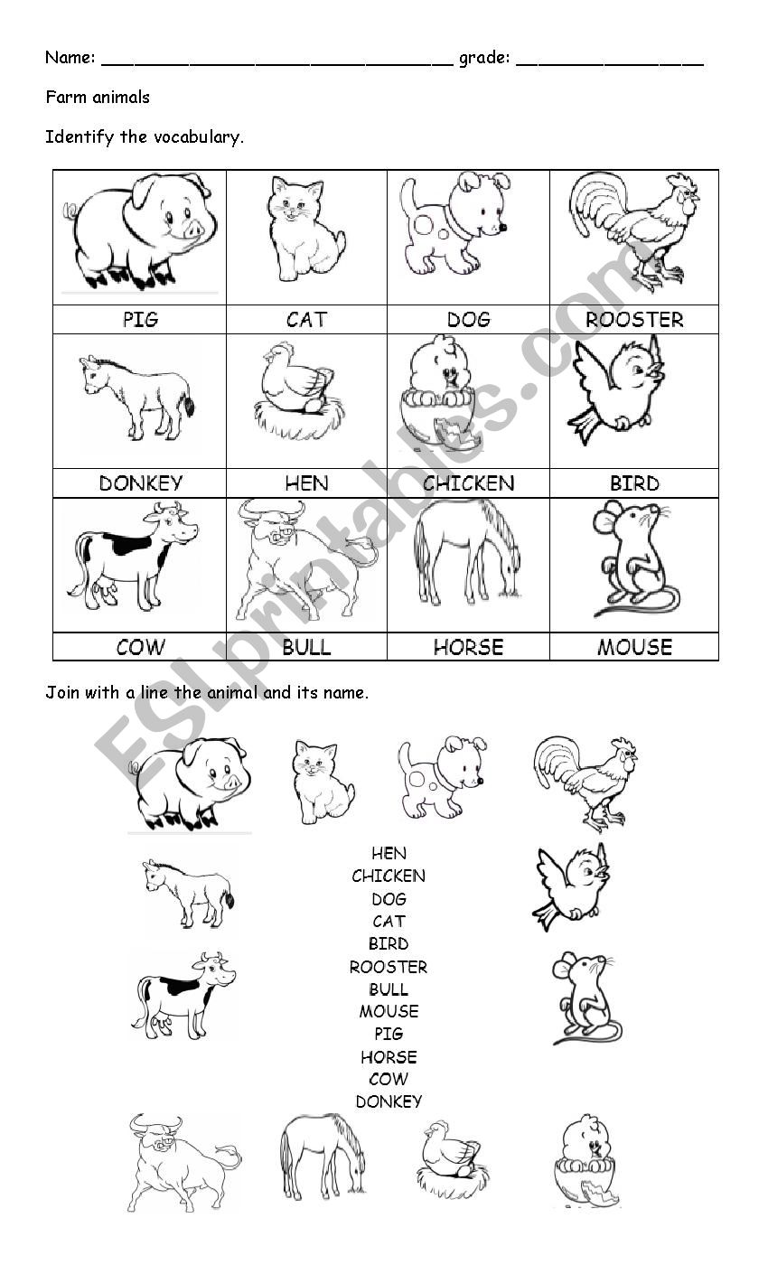 farm animals worksheet worksheet