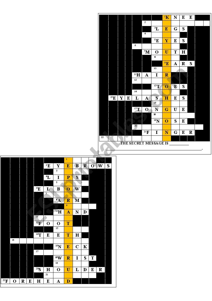 Body parts crossword worksheet