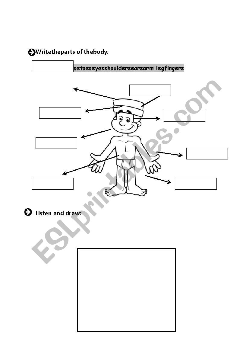 Parts of the body- test worksheet