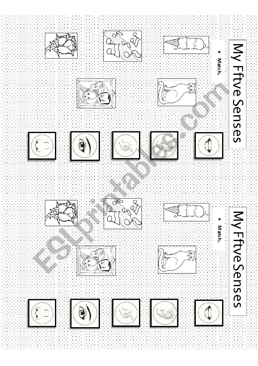 My five Senses worksheet