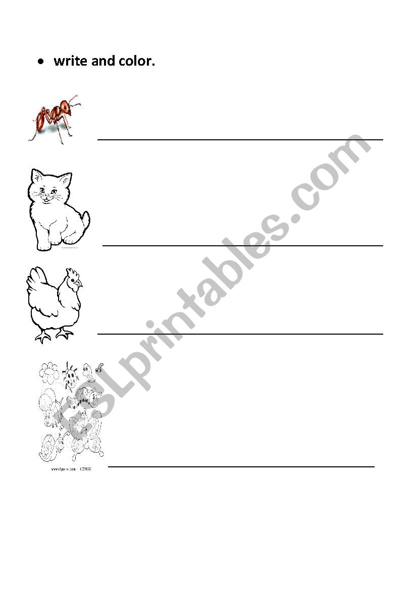phonics worksheet