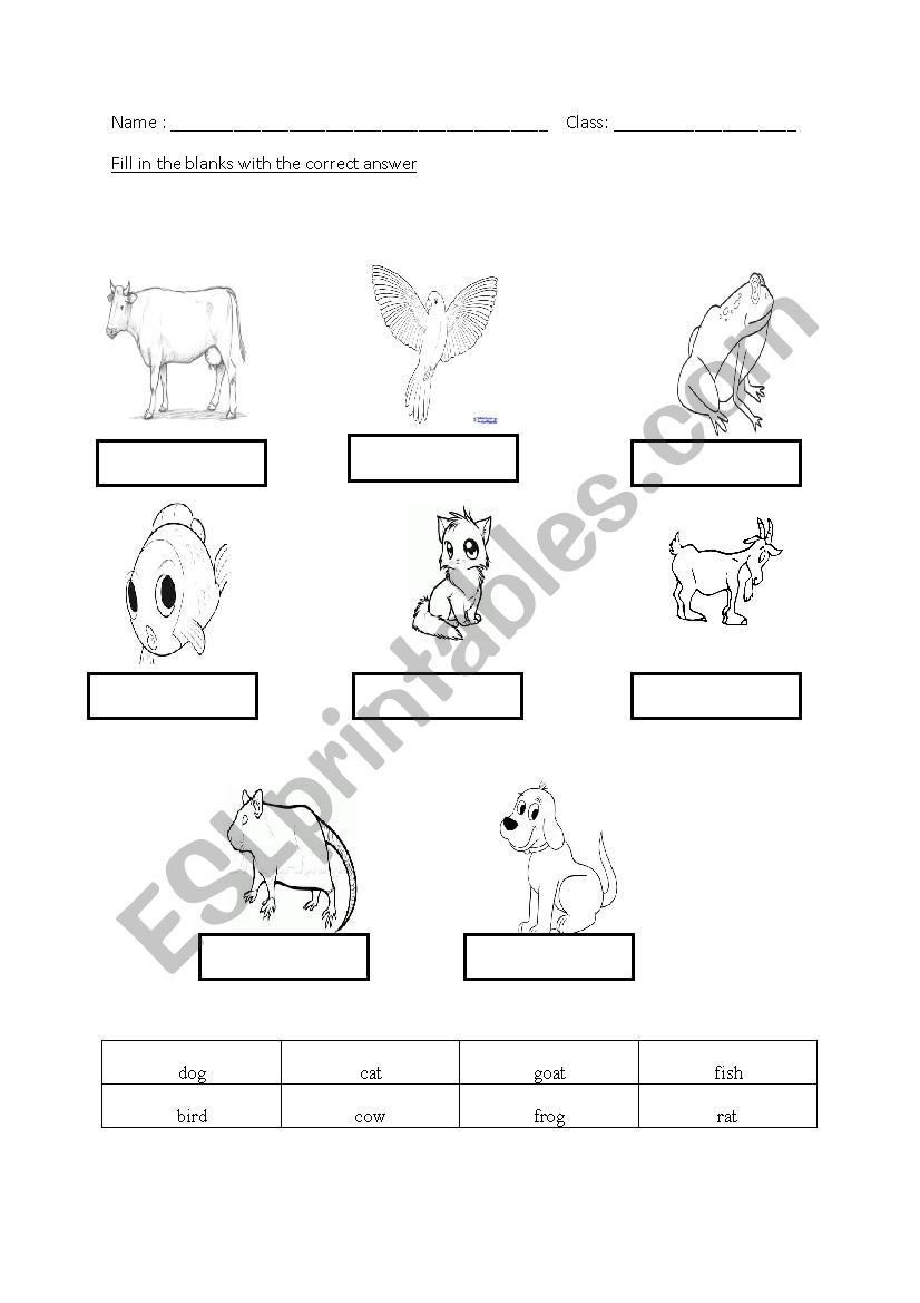 animal worksheet worksheet