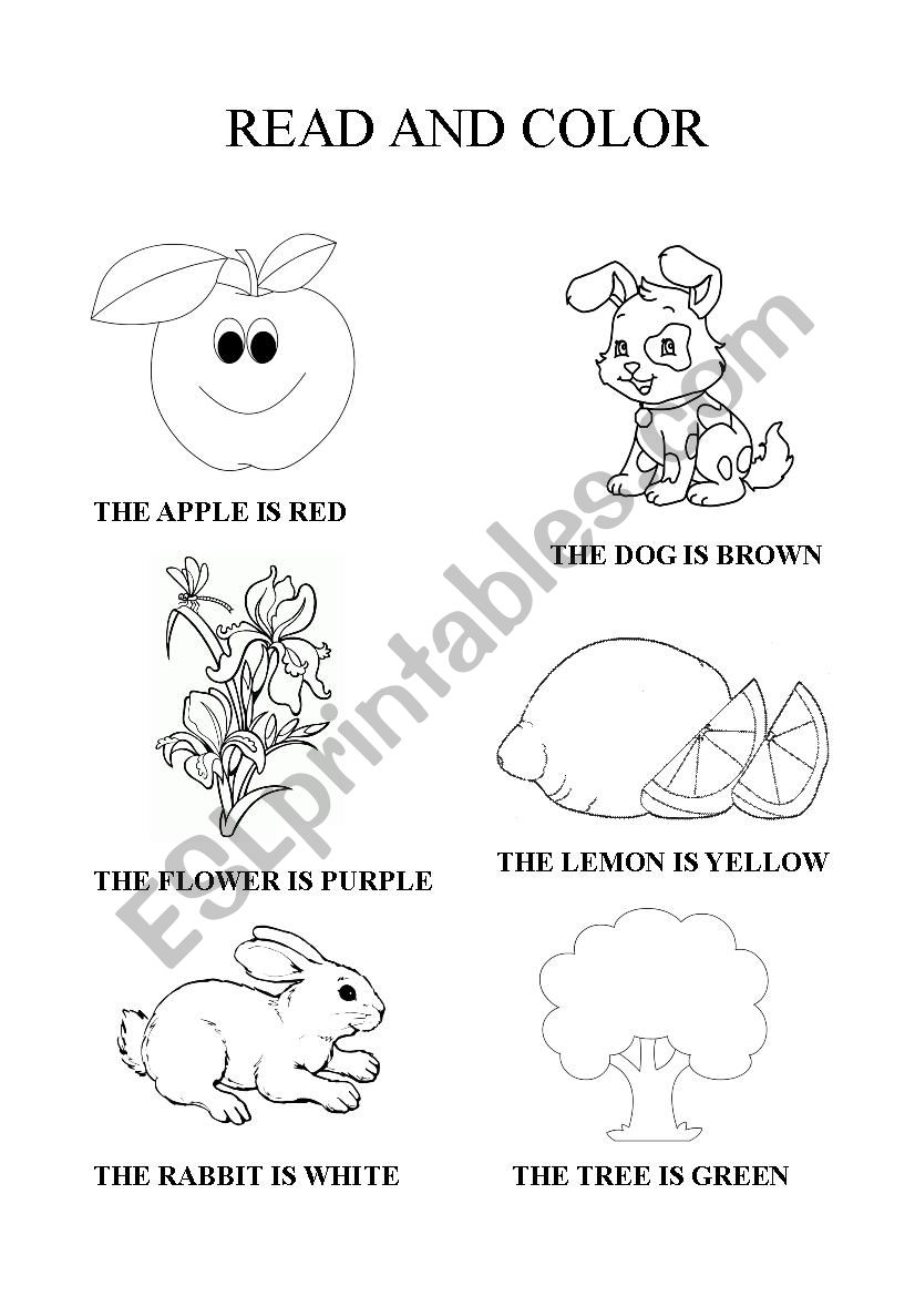 Read and color worksheet