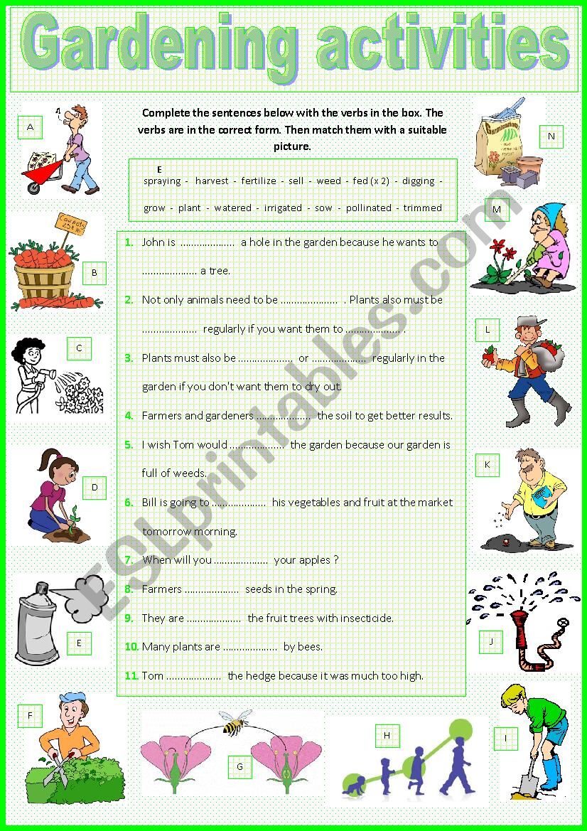 Gardening Activities. worksheet