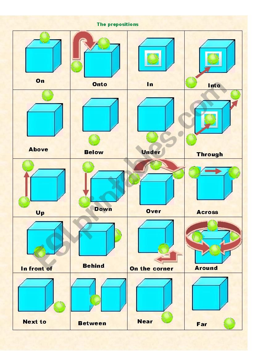 The prepositions worksheet