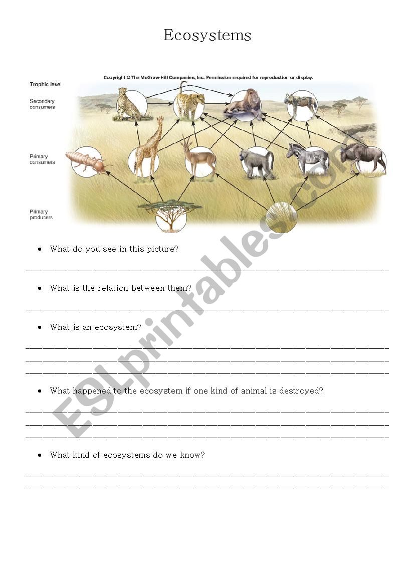 Ecosystems worksheet