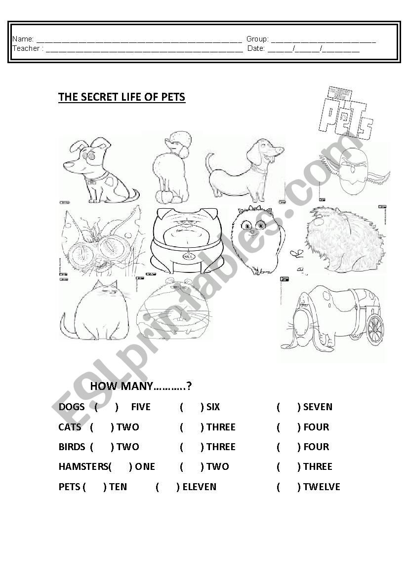PETS and NUMBERS worksheet