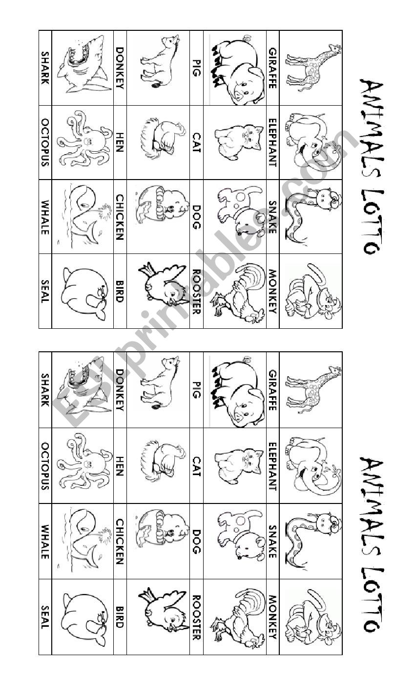 animals lotto game worksheet