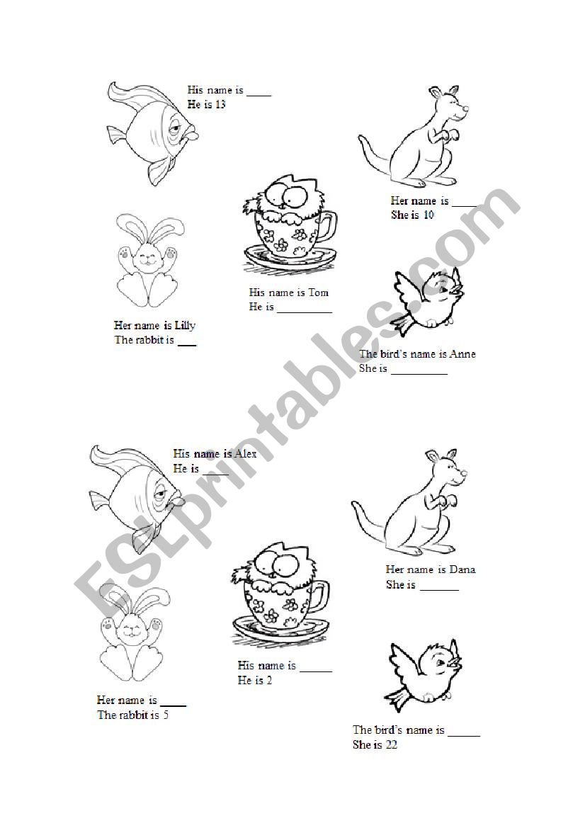 Animals and simple questions worksheet