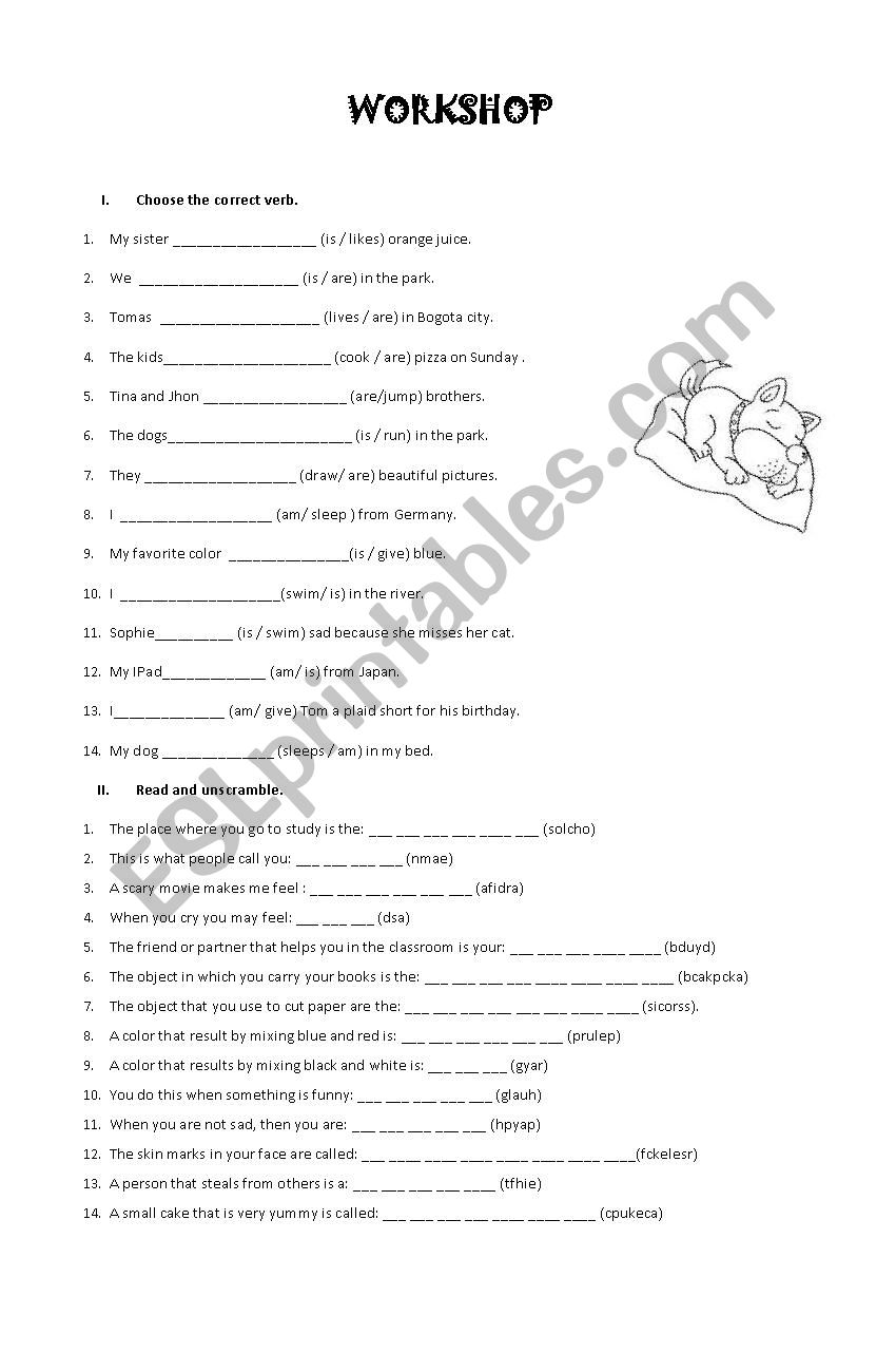 worksheet worksheet