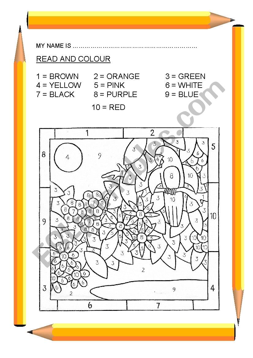 Read and colour worksheet