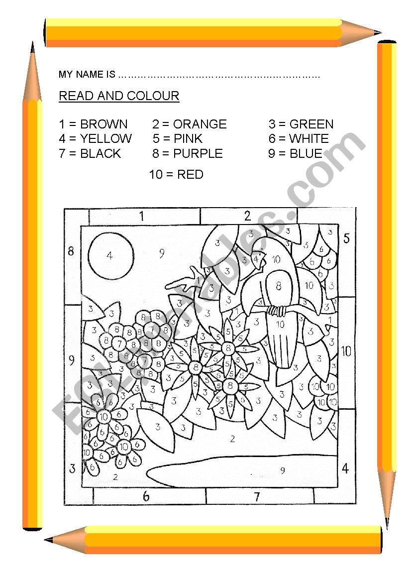 Read and colour worksheet