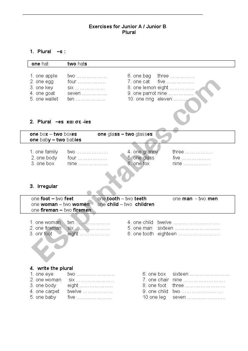 plural worksheet