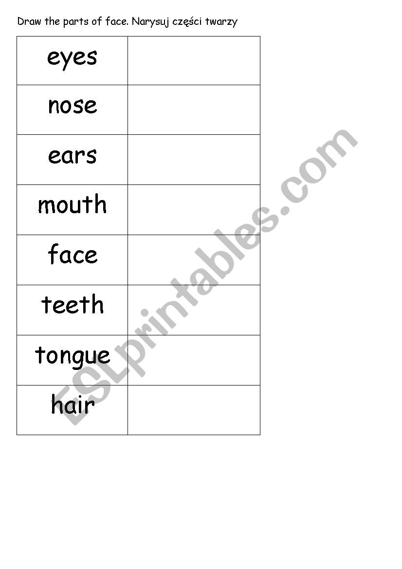 Drawing the parts of face worksheet