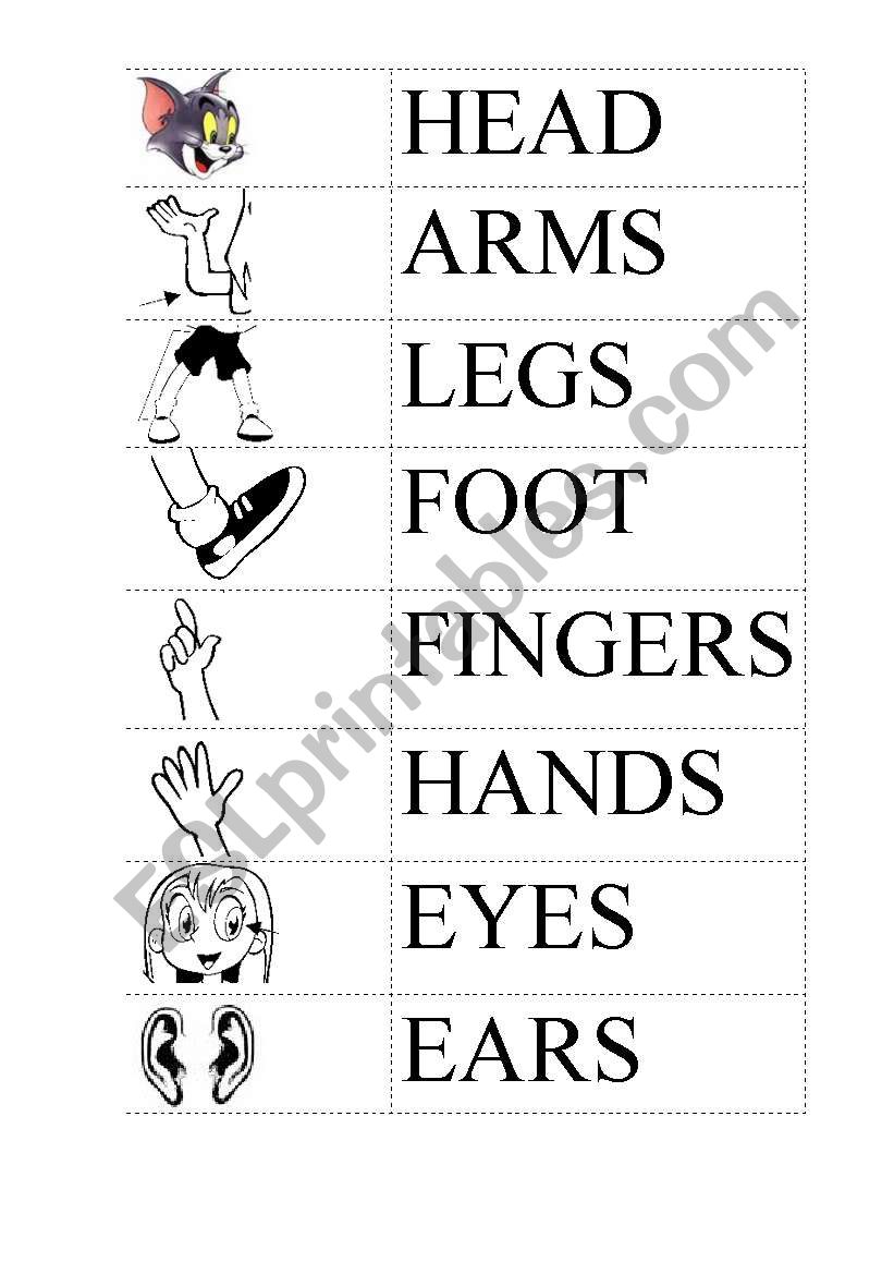 body parts worksheet