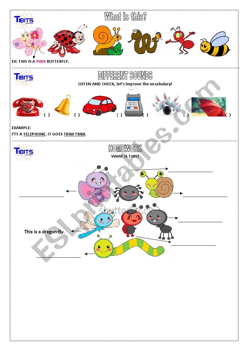 Garden Animals worksheet