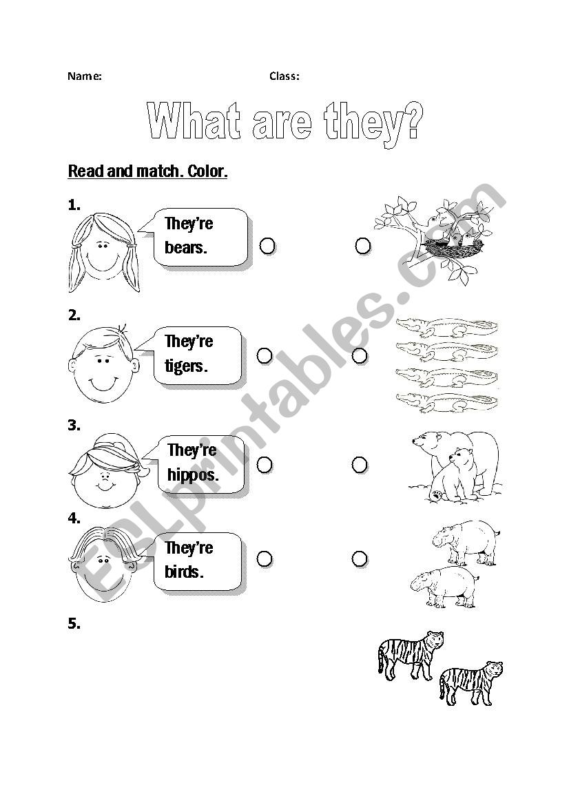 Animal worksheet