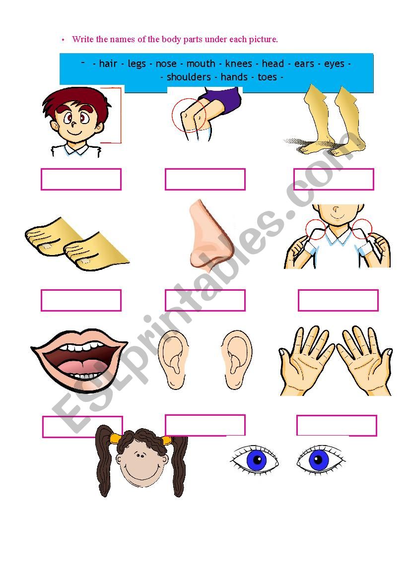 Body part exercise for children