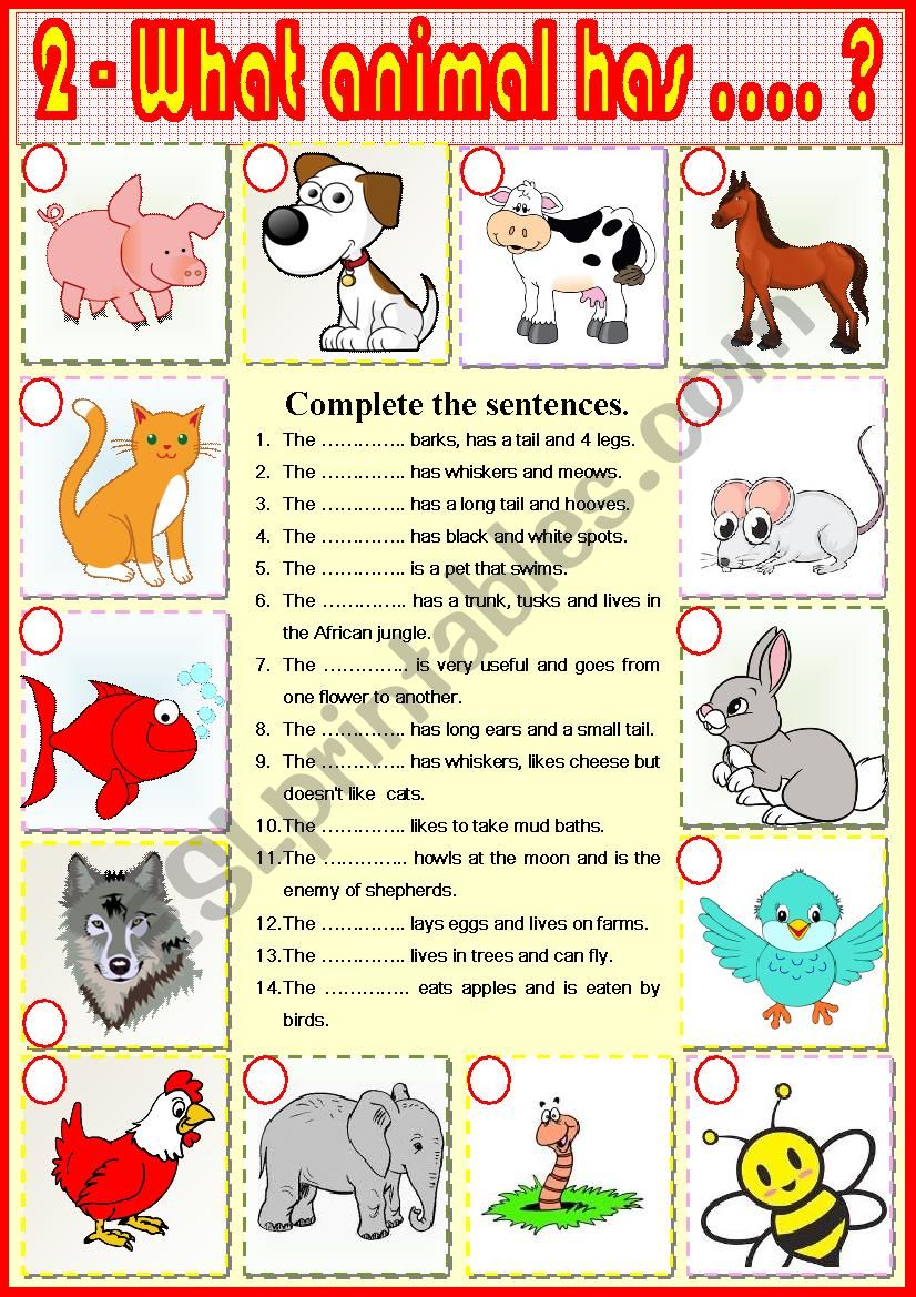 2. What animal has ? worksheet