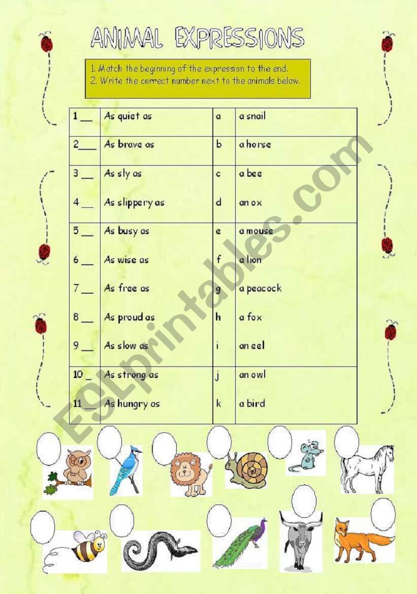 Animal Expressions worksheet