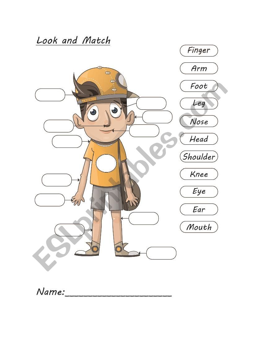 vocabulary-My Body worksheet