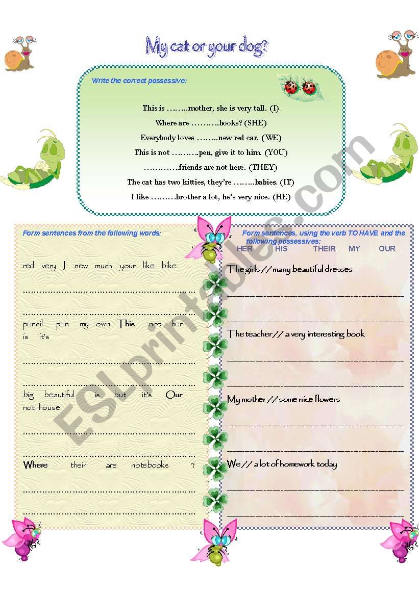 Possessive adjectives worksheet