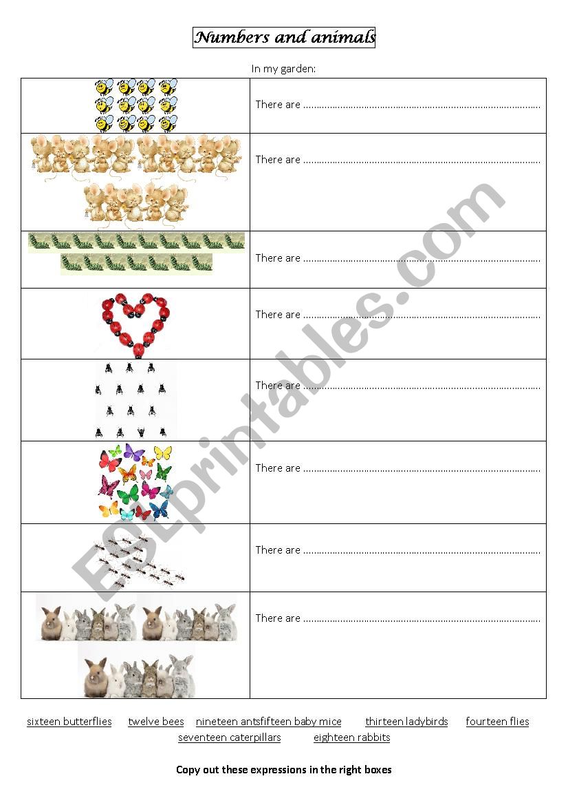 NUMBERS (from 12 to 19) and ANIMALS