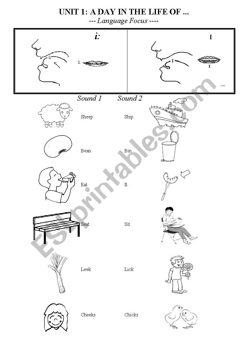 Long i: and Short i worksheet