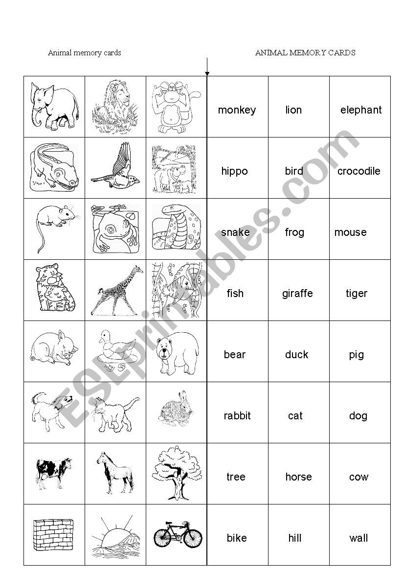 animals cards worksheet