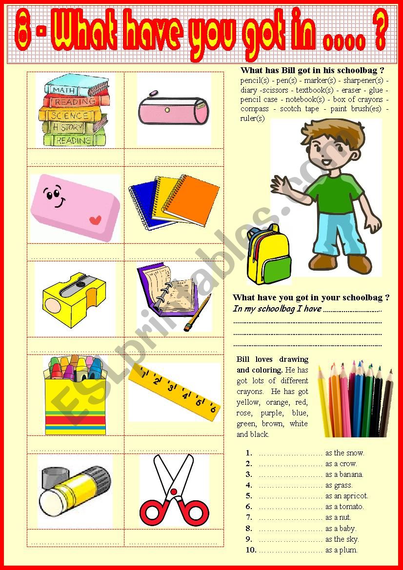 8. What have you got in …..? worksheet