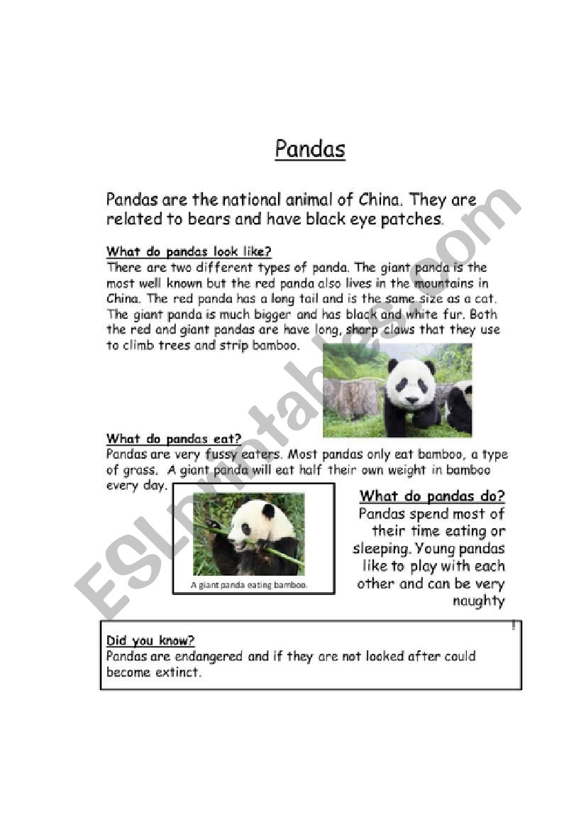 Panda information text worksheet
