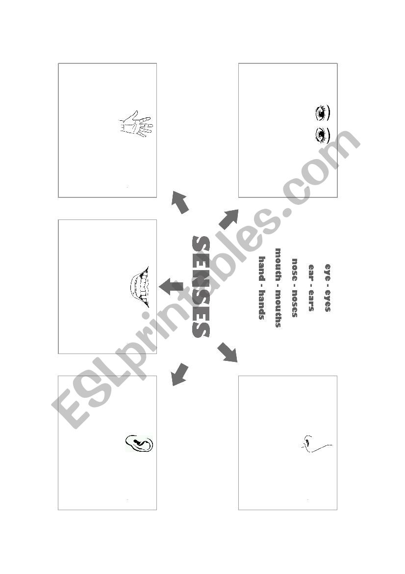 Senses - association diagram worksheet