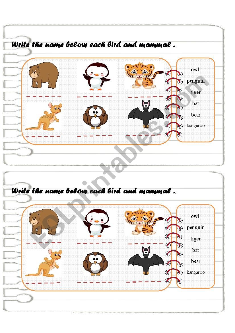 animals worksheet