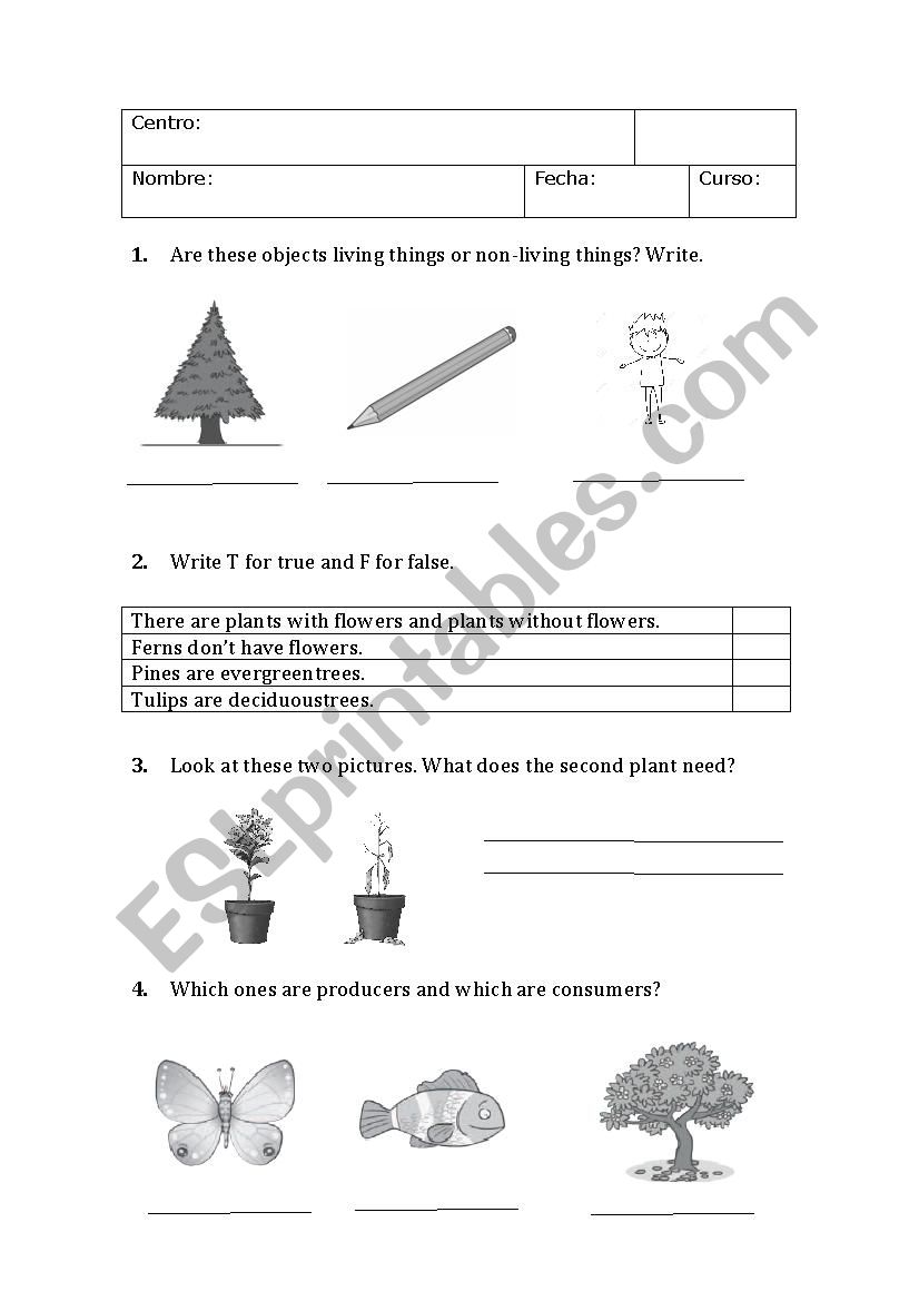 Initial evaluation Natural Science 3 grade