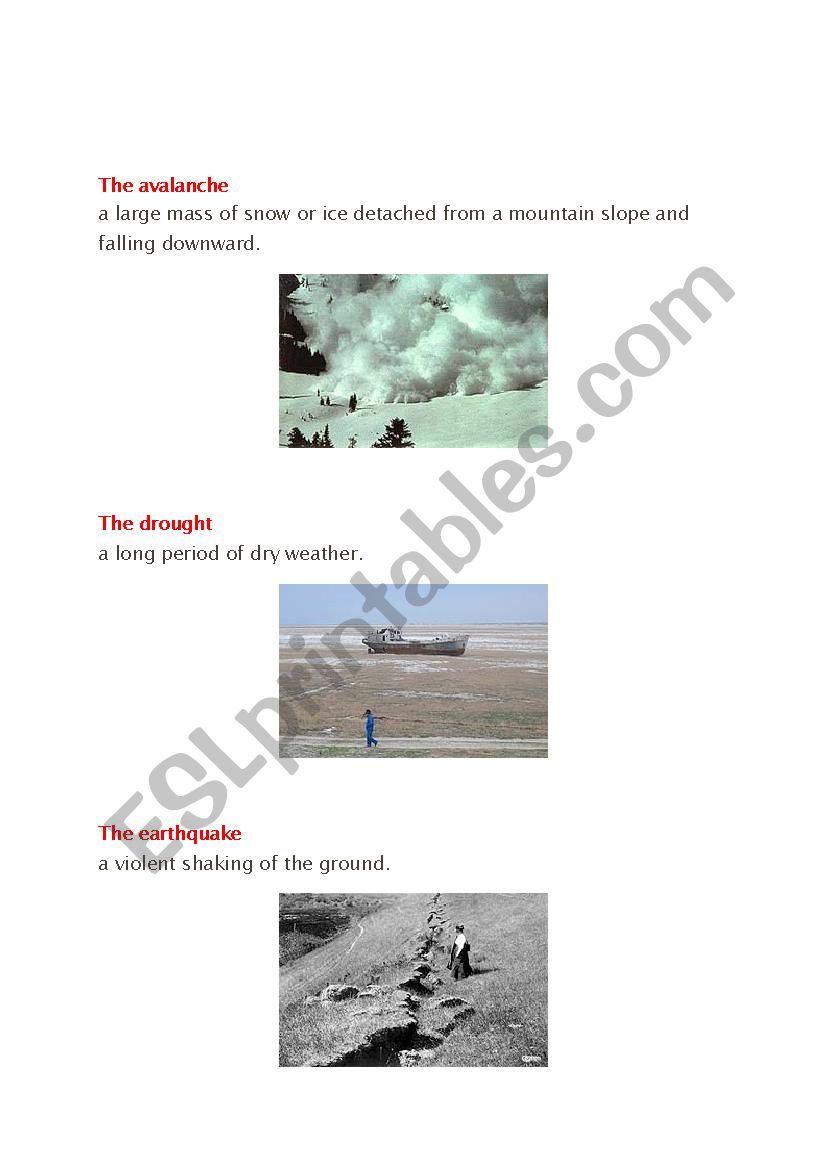 NATURAL DISASTER VOC worksheet