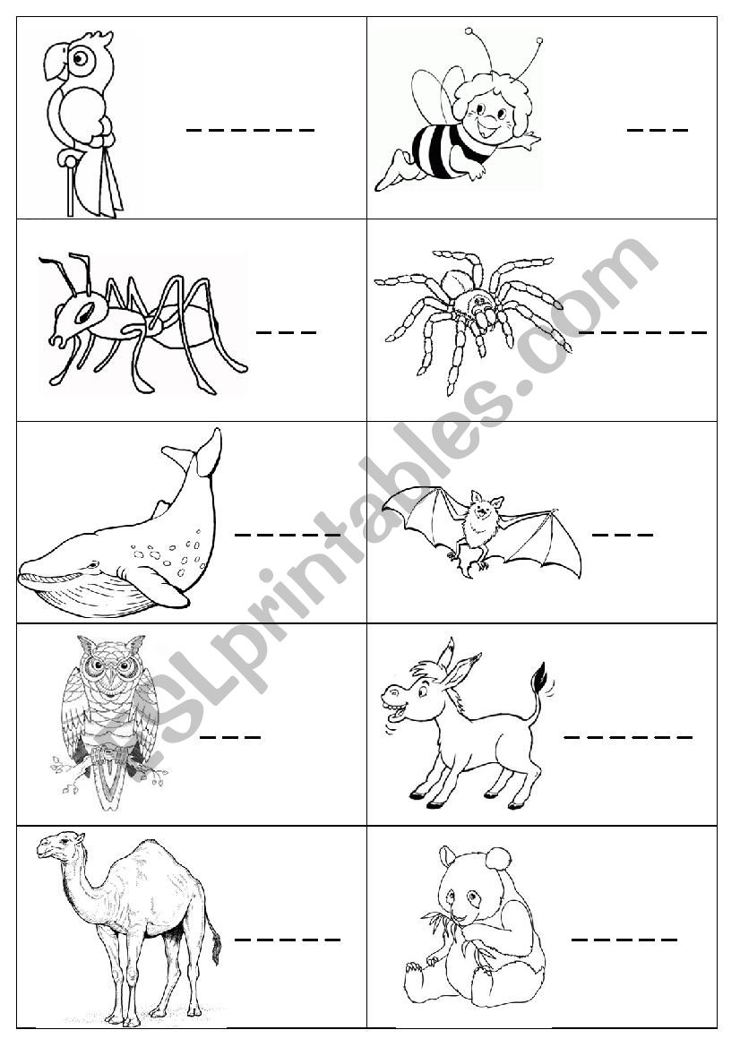 Animals Minibook1 worksheet