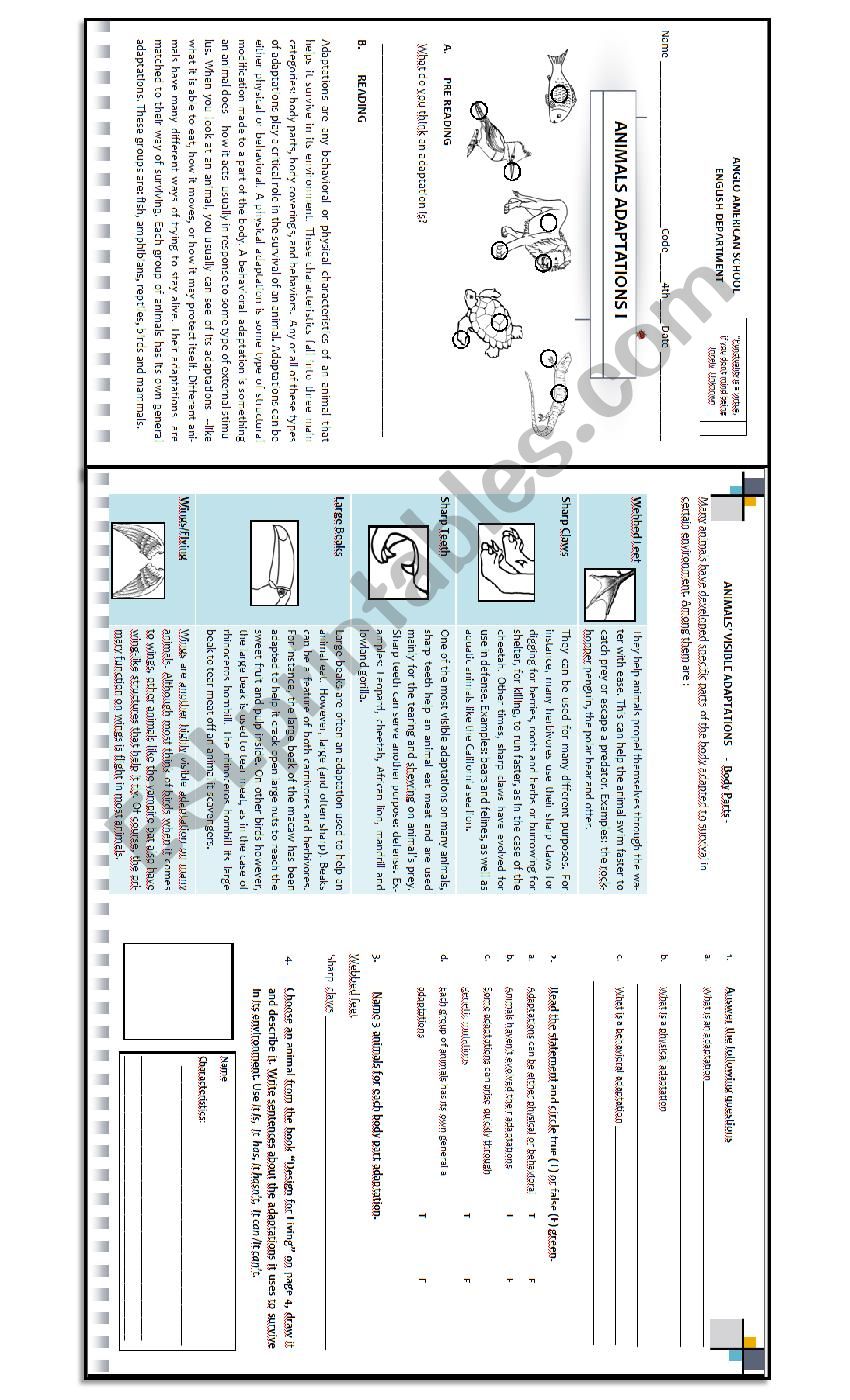 ANIMALS ADAPTATIONS worksheet