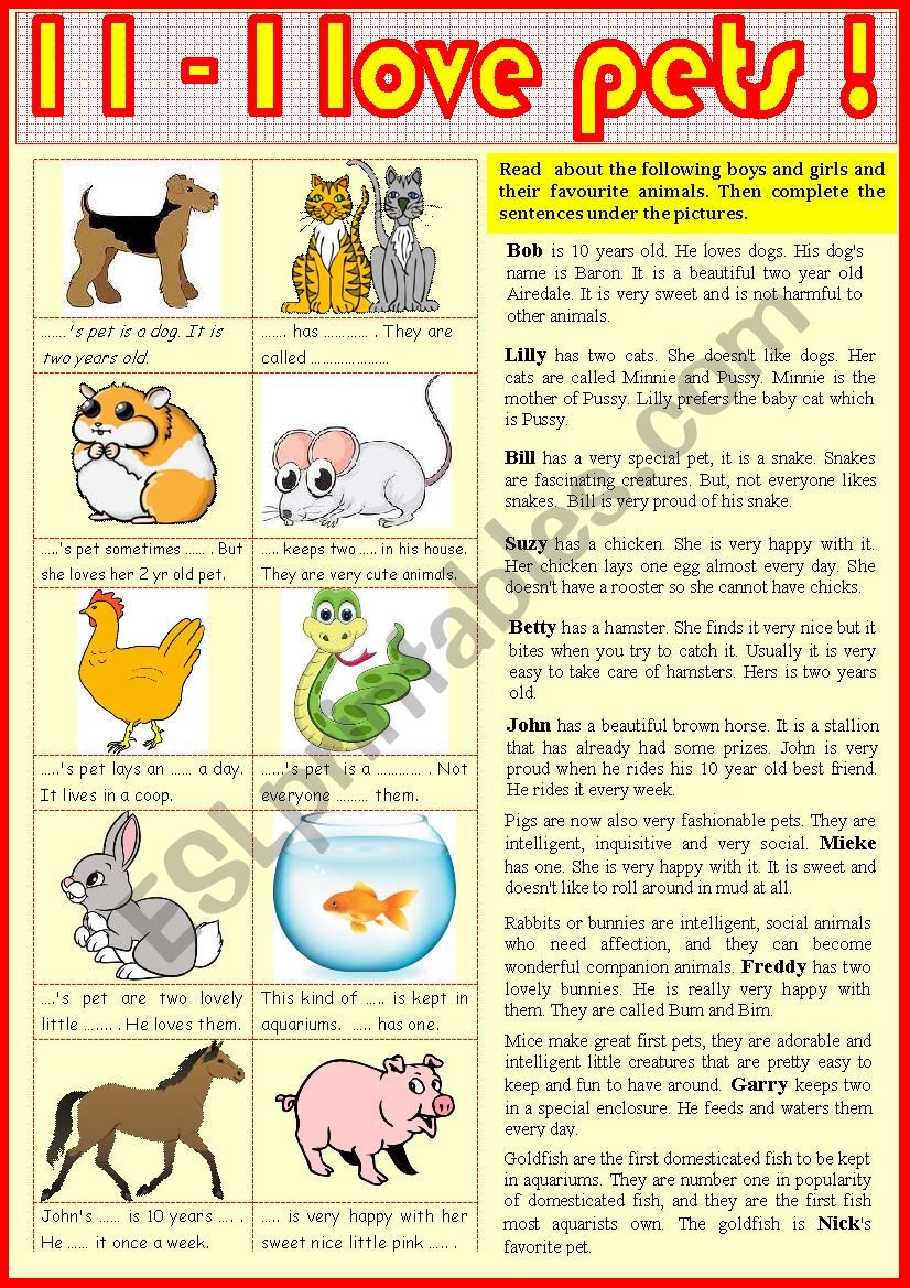 11. I love pets ! worksheet