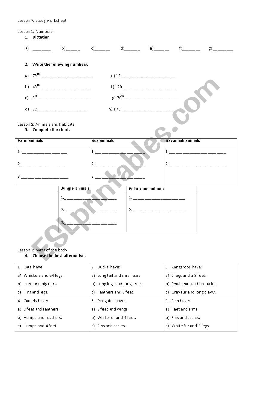 Animals worksheet