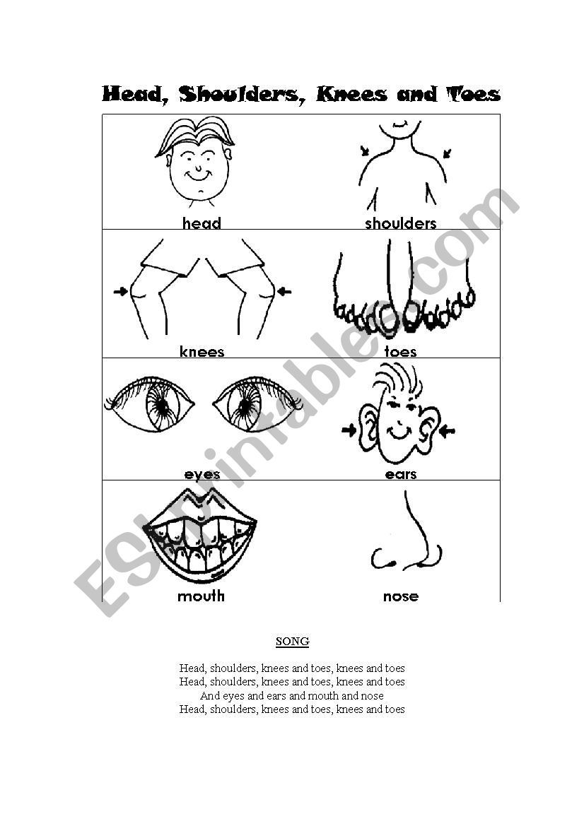 Parts of the body. Flash cards and song