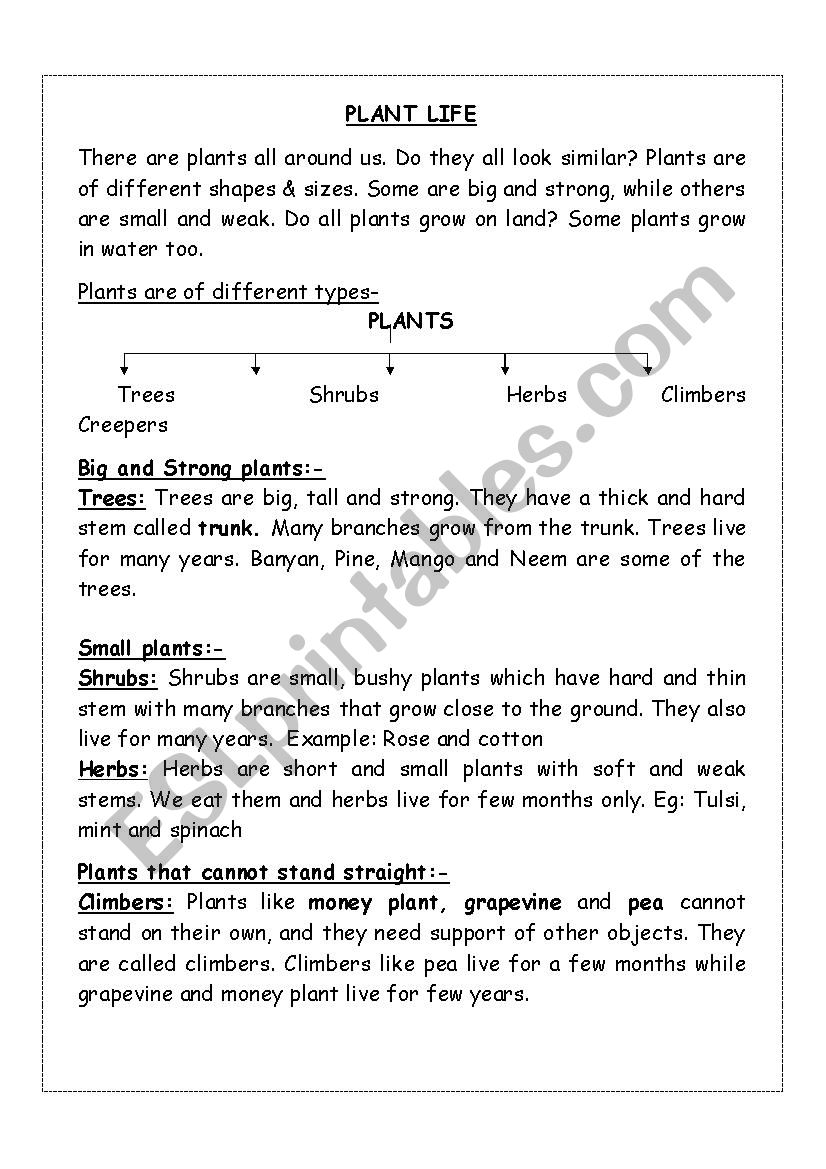 Plant life lesson with worksheets