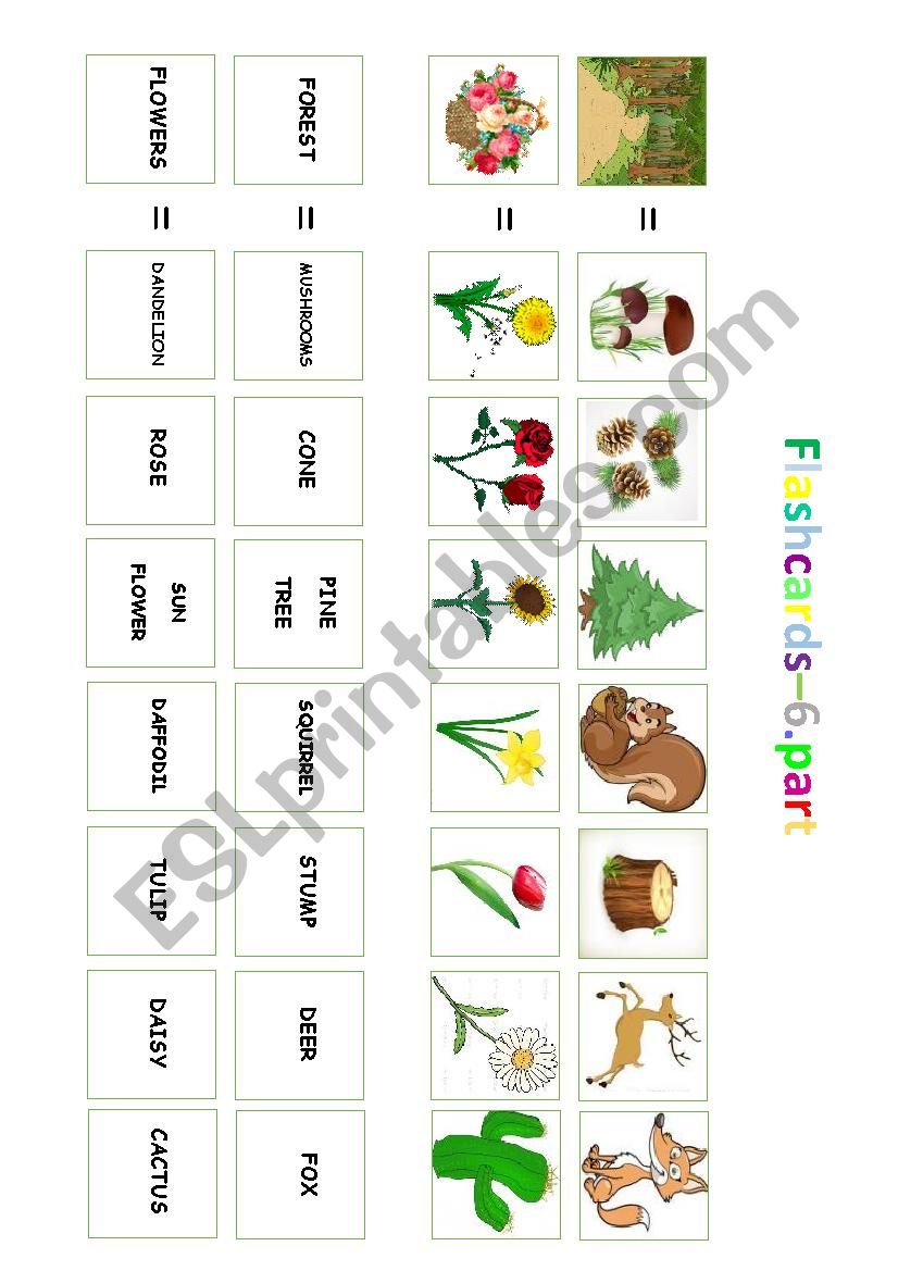 Flashcards - sorting of pictures / 6