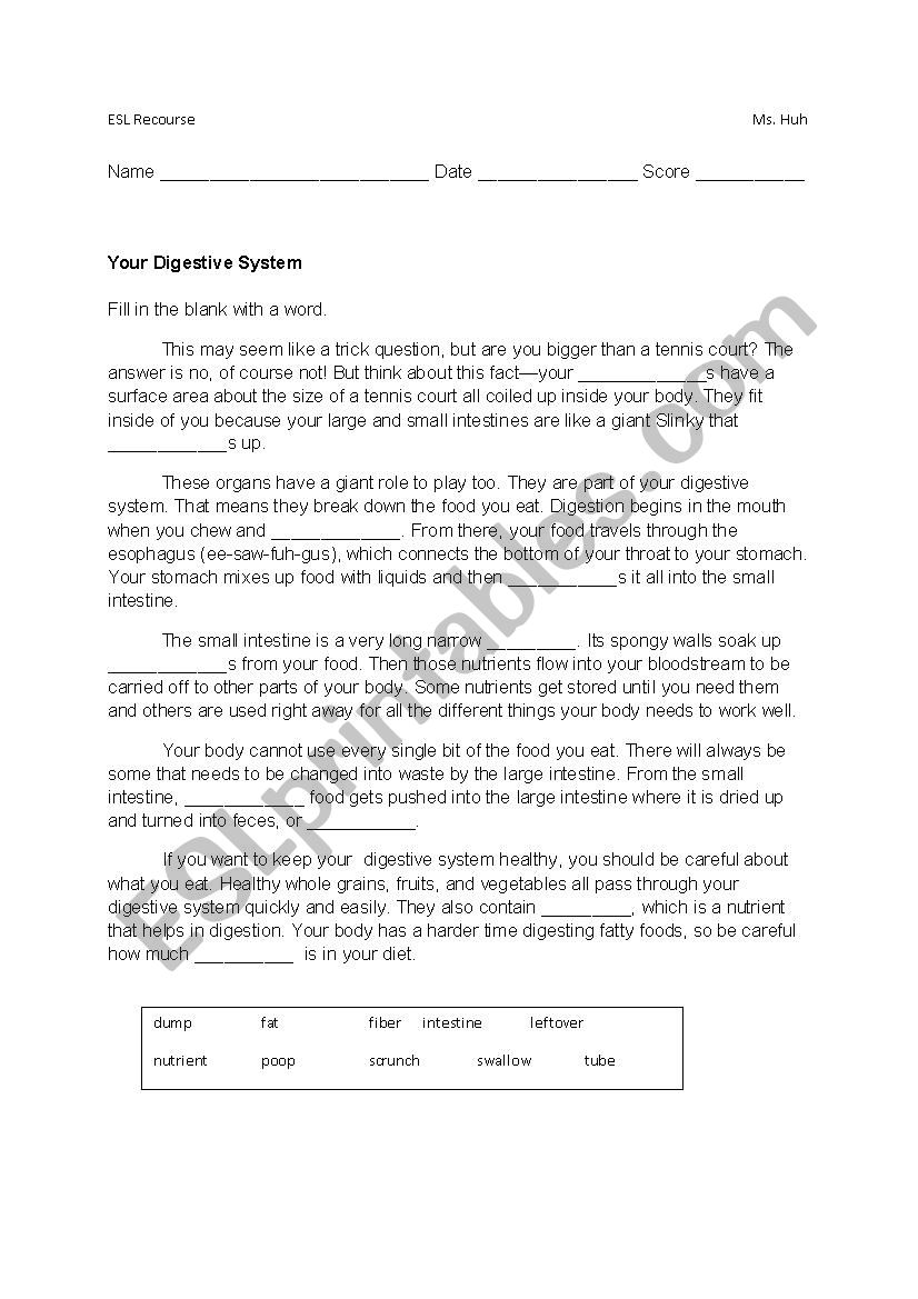 Your Digestive System worksheet