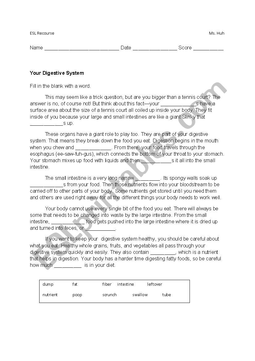 Your Digestive System worksheet