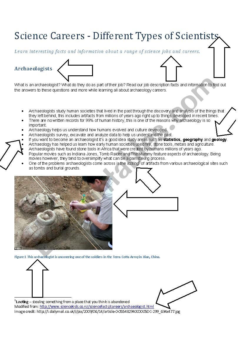 Text Feature Practice worksheet
