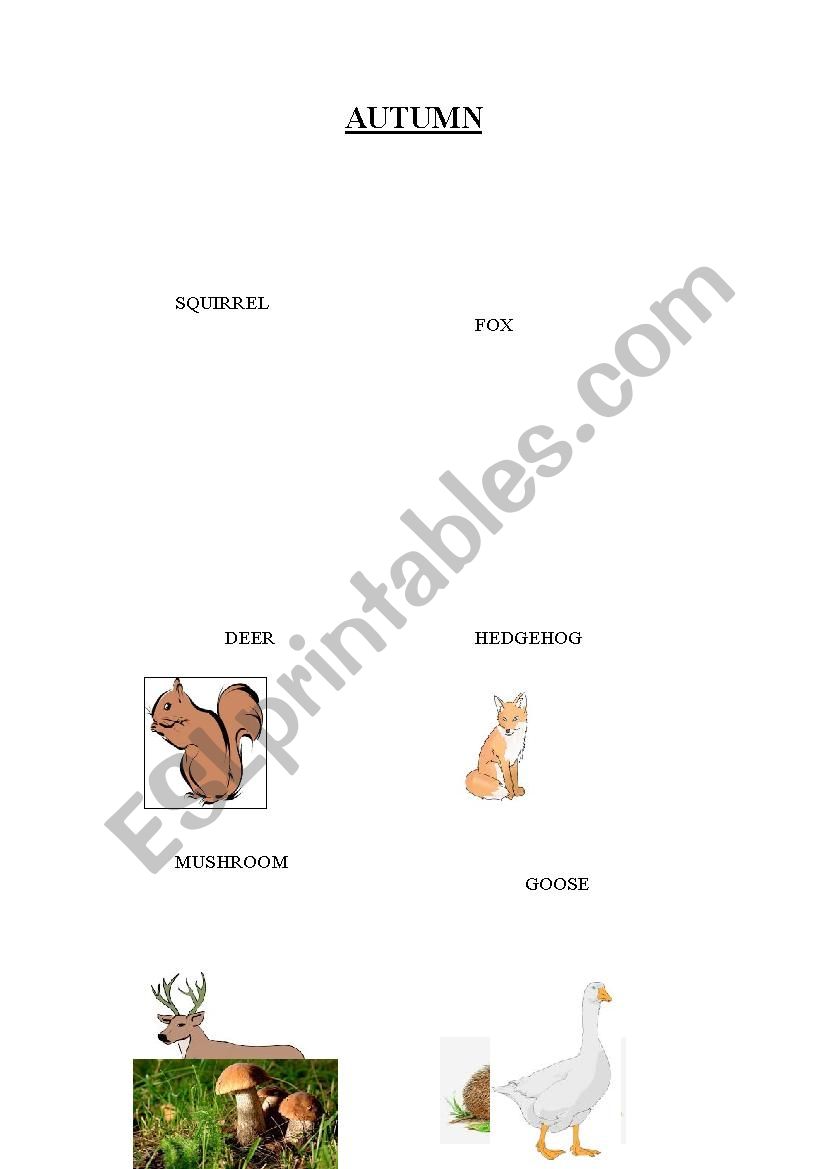 ANIMALS IN AUTUMN worksheet