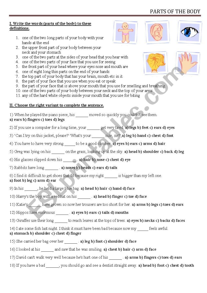 Parts of the body worksheet